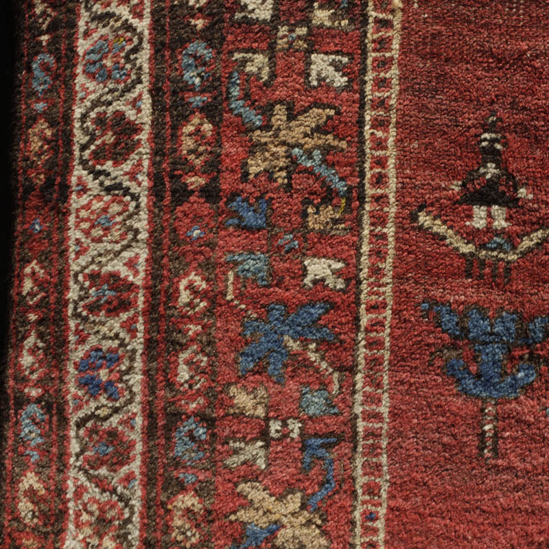 Kurdish rug with humans and animals - border system
